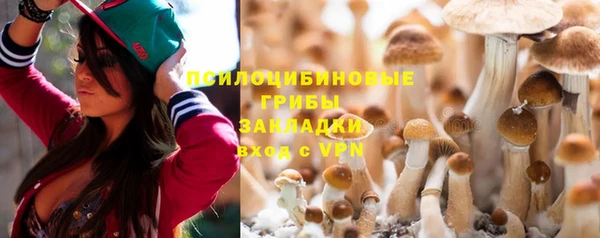 mdpv Ладушкин