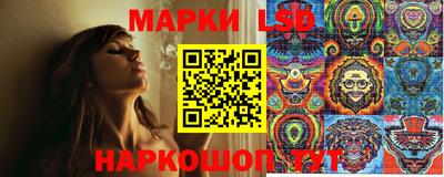 СК Дубна