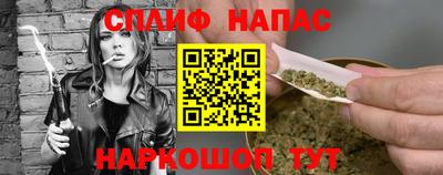 СК Дубна