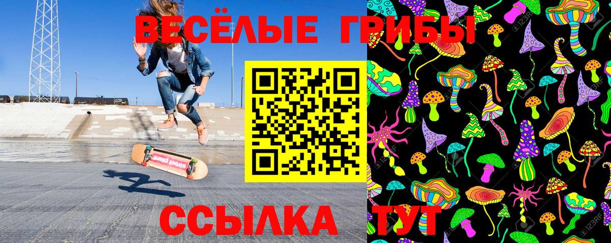 Галлюциногенные грибы прущие грибы Лесной