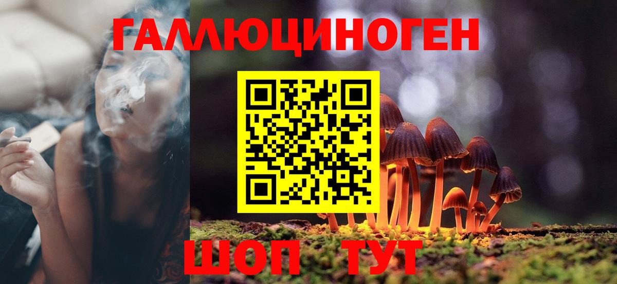 Псилоцибиновые грибы мицелий  Вход с VPN  Лесной  Псилоцибиновые грибы ЛСД 